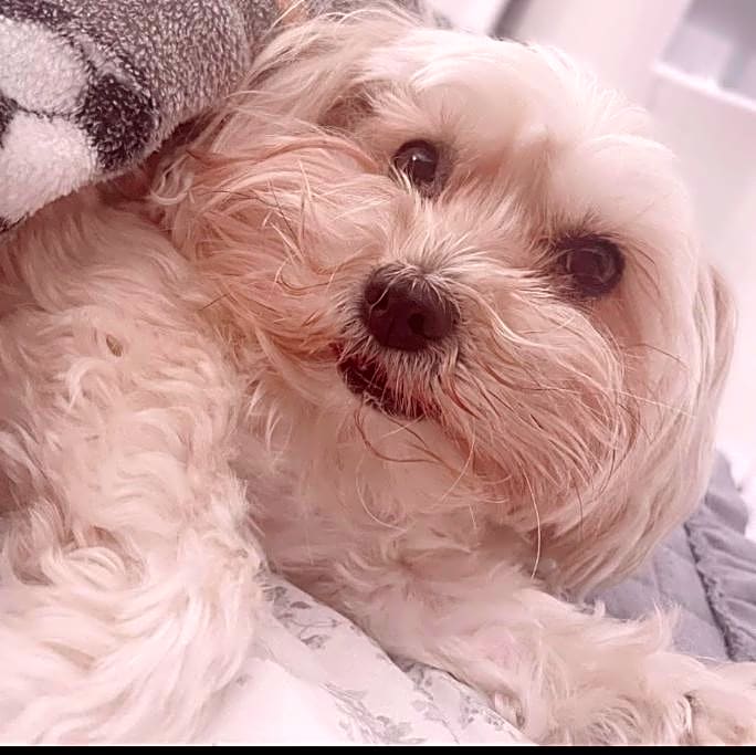 Photo of Elsa