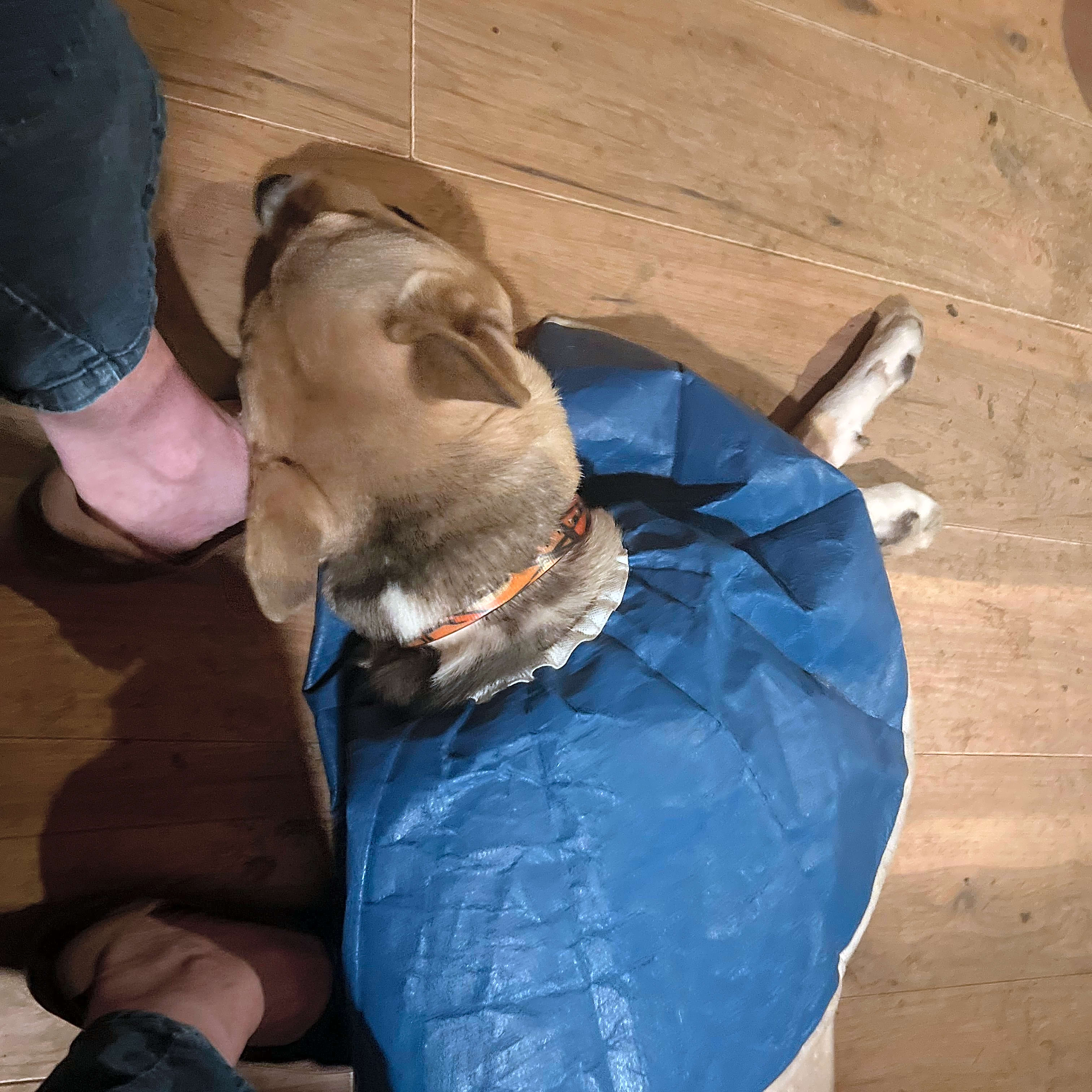 Photo of Jumper