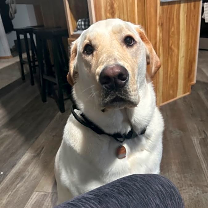 Photo of Wyatt
