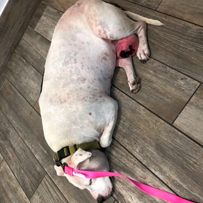 Photo of Baby