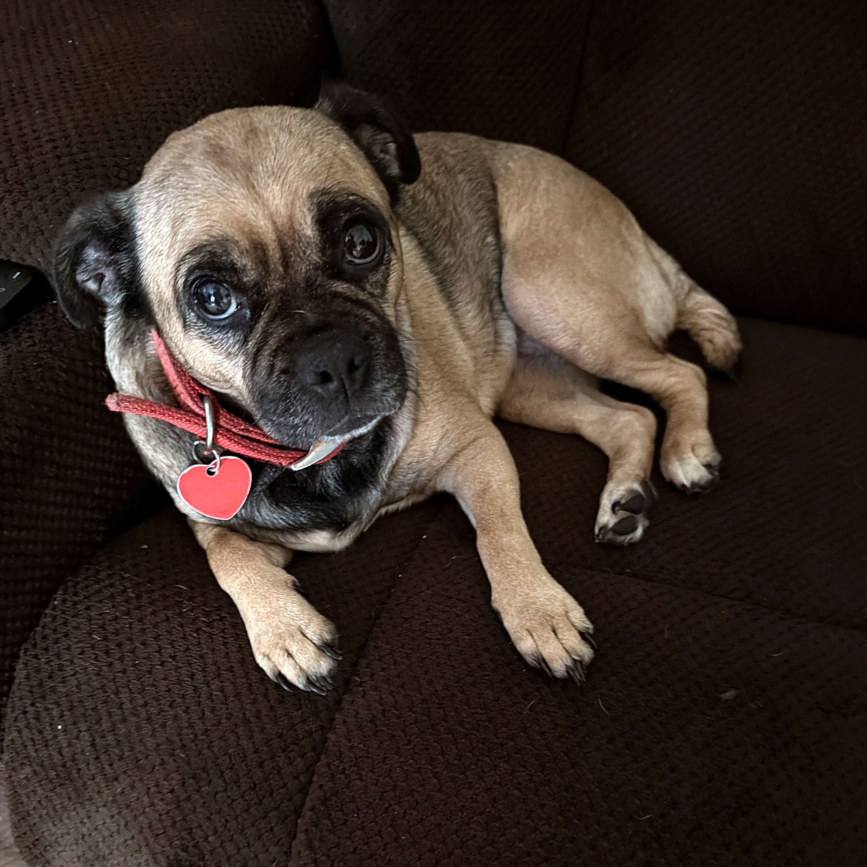 Photo of Chloe