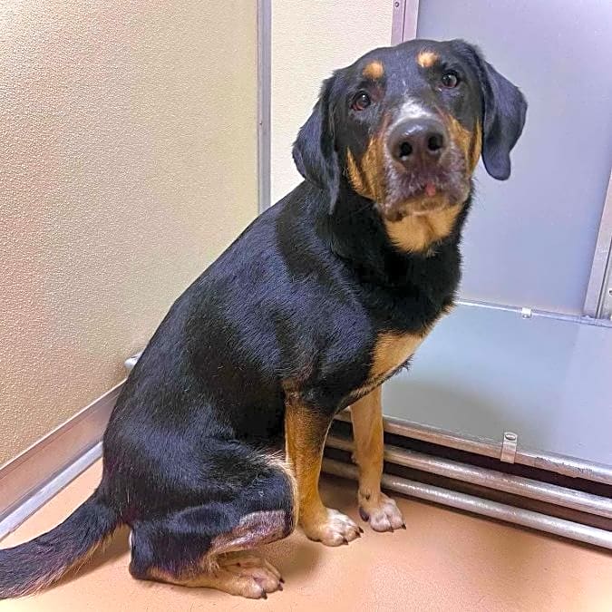 Photo of Charlie Brown
