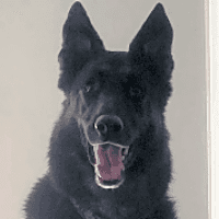 Photo of Khaos