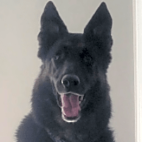 Photo of Khaos
