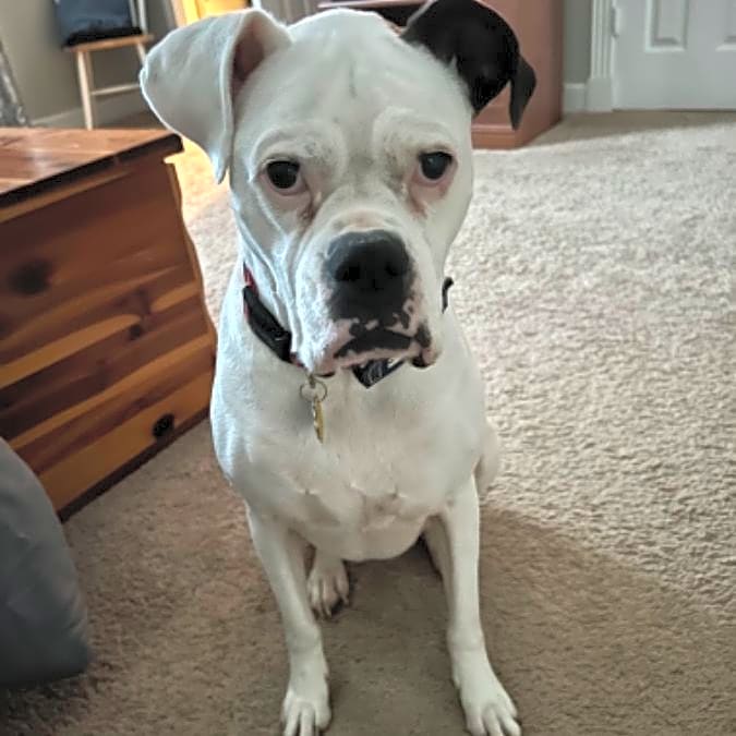 Photo of Sammie