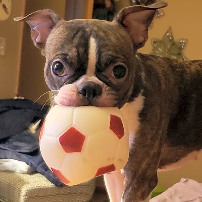 Photo of Gabby