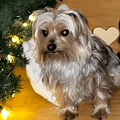 Photo of Remey