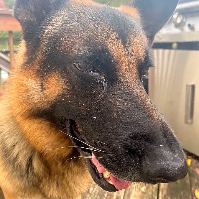 Photo of Max
