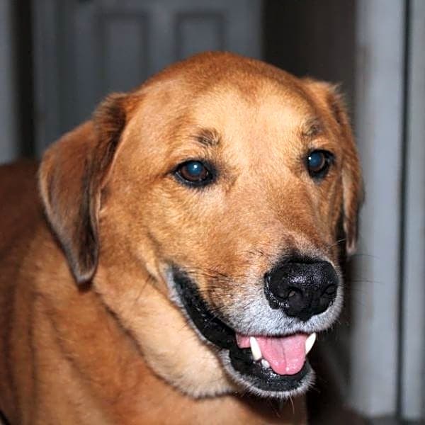 Photo of Yuri