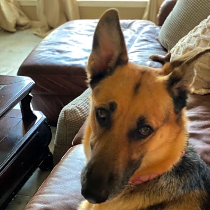 Photo of Molly