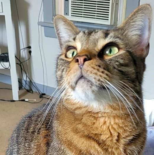 Photo of Buster