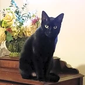 Photo of Aleister
