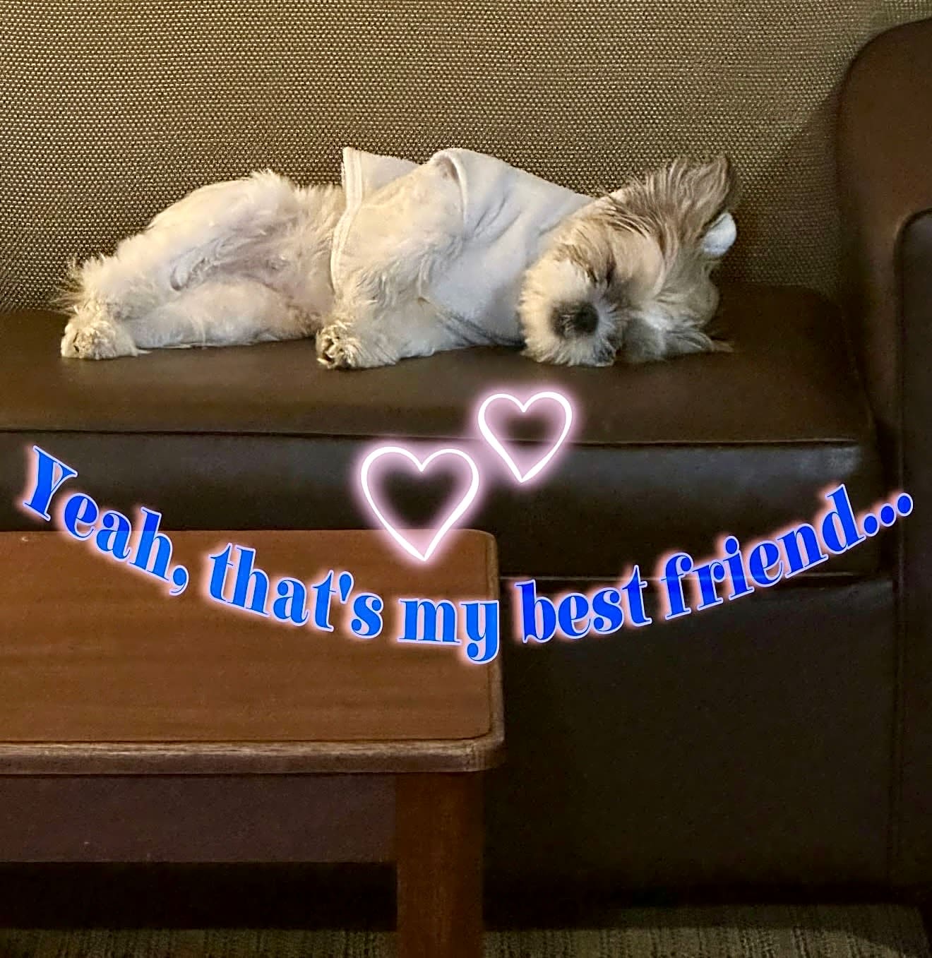 Photo of Wicket