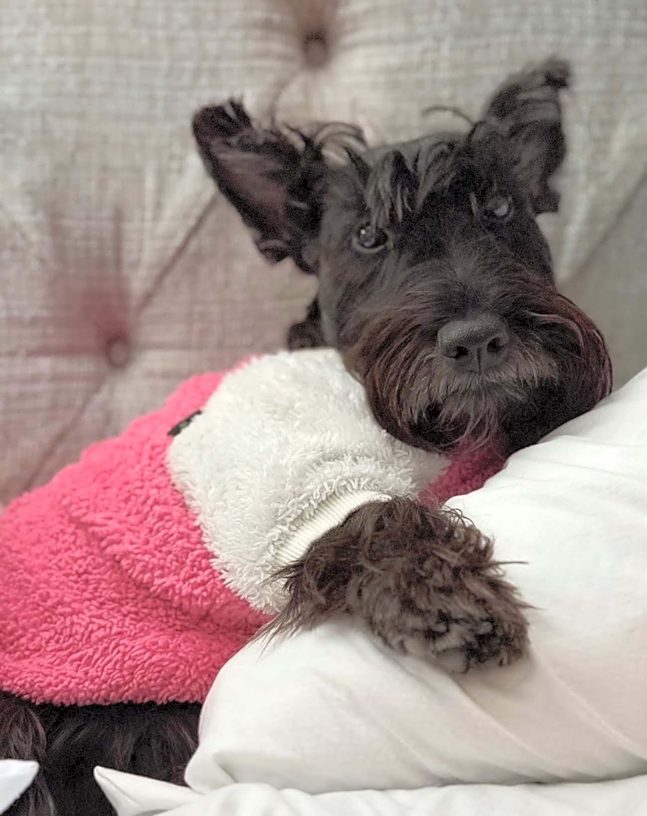 Photo of Nessie Sinclair