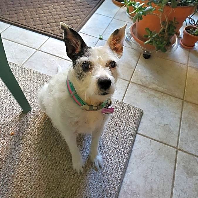 Photo of Suzie