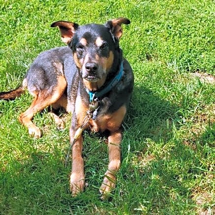 Photo of Trooper