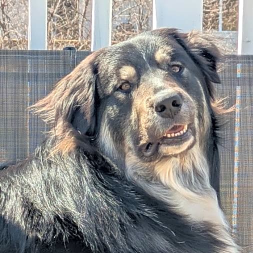 Photo of Kody