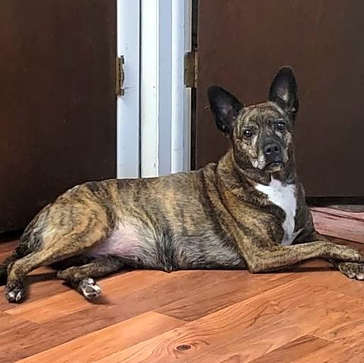 Photo of Diamond