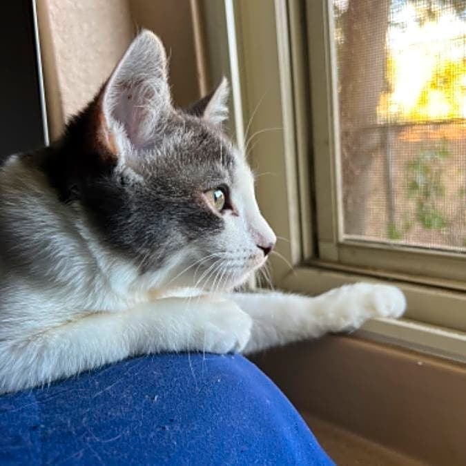Photo of Cielo