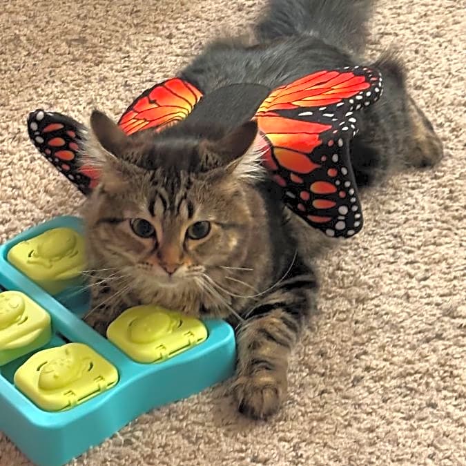 Photo of Pepper