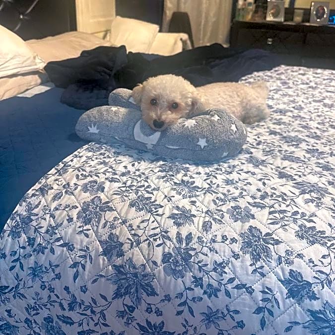Photo of Mickey