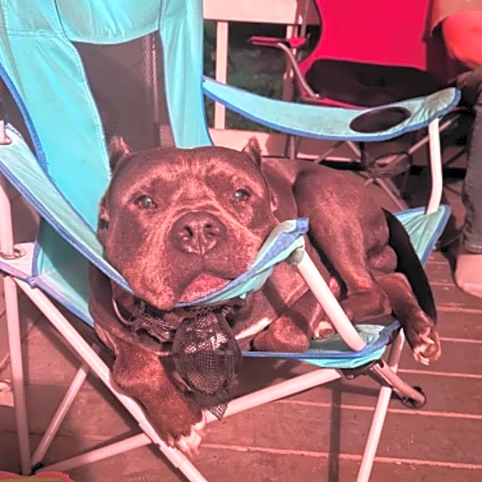 Photo of Geronimo