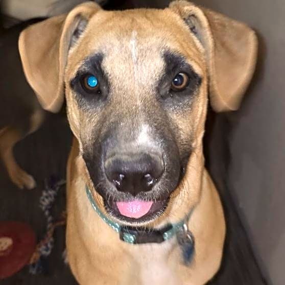 Photo of Bruce