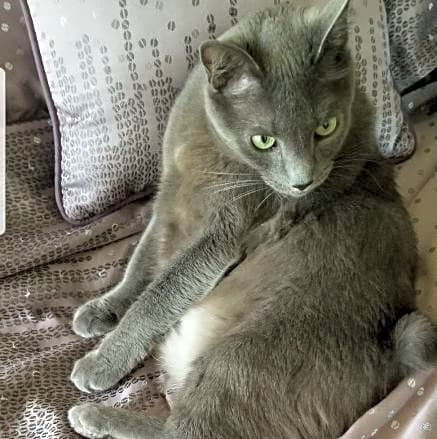 Photo of Jude