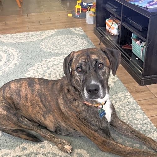 Photo of Murphy
