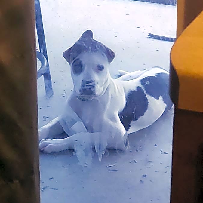 Photo of Aurora
