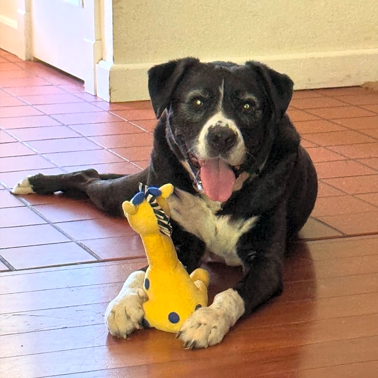 Photo of Tucker