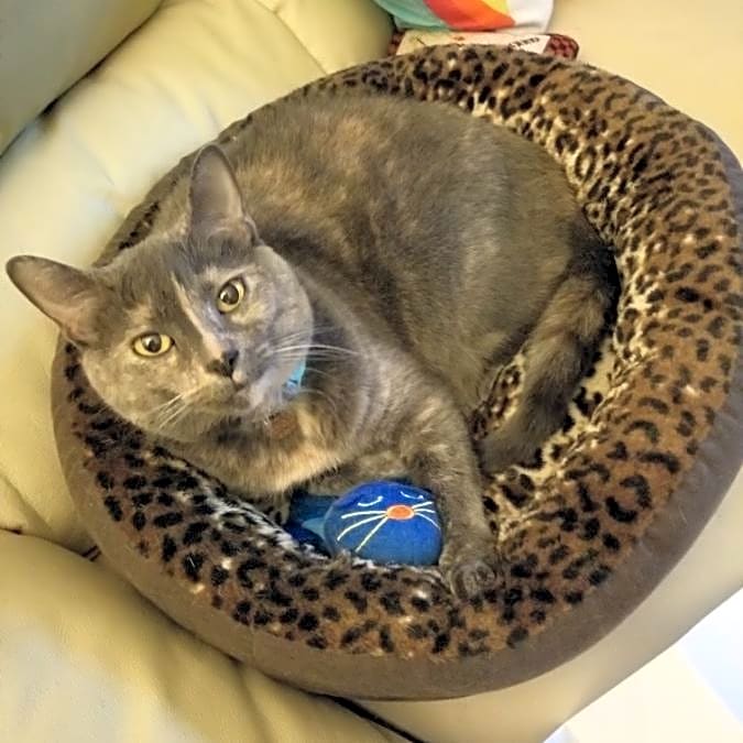 Photo of Jinx