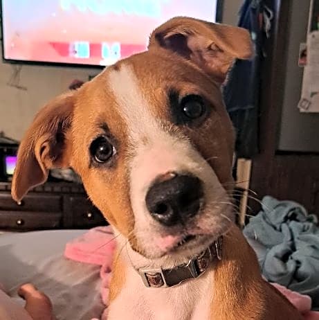 Photo of Lexi
