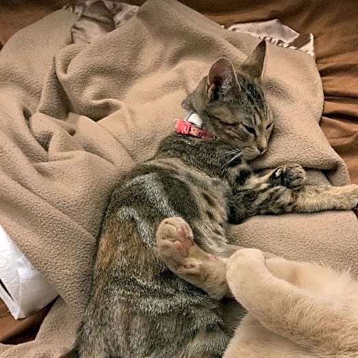 Photo of Maya
