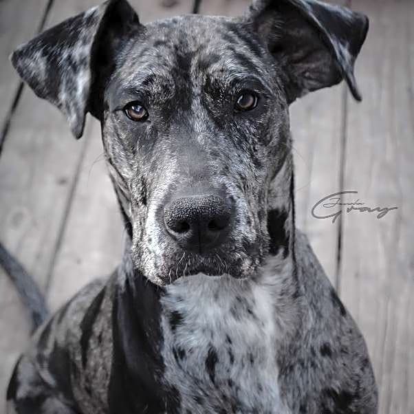 Photo of Lucy