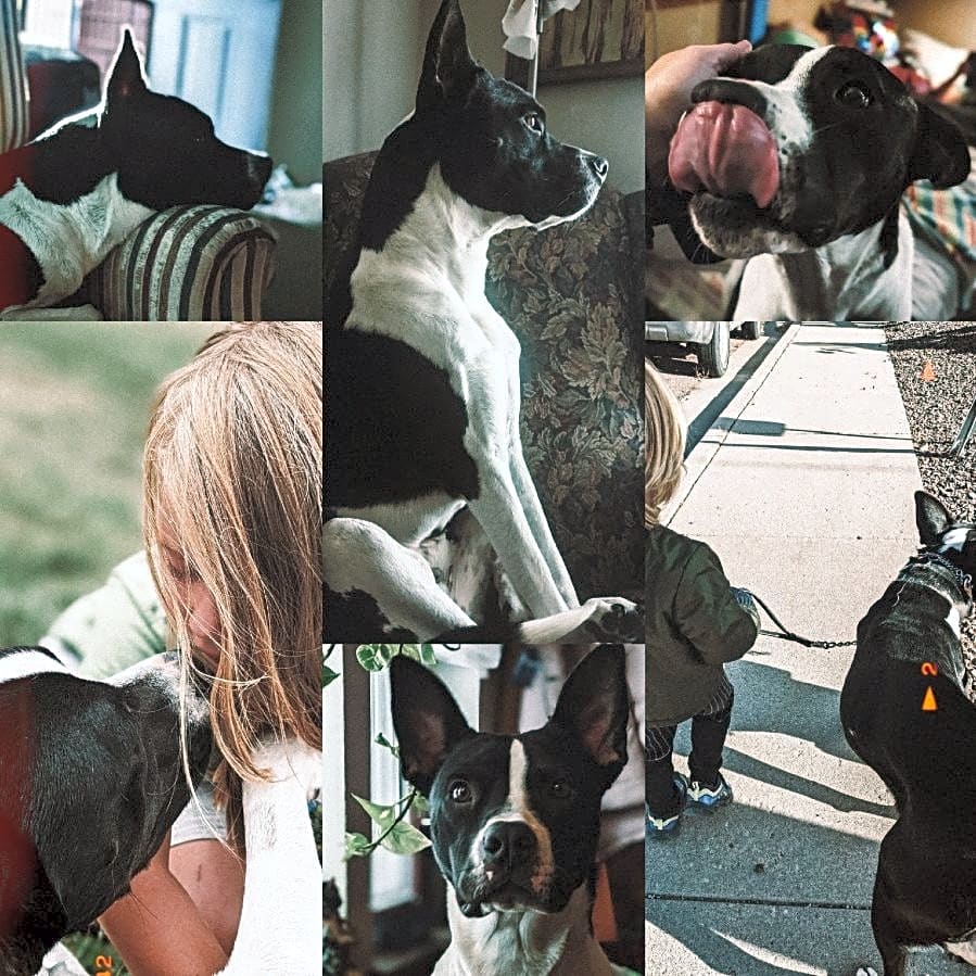 Photo of Sokka