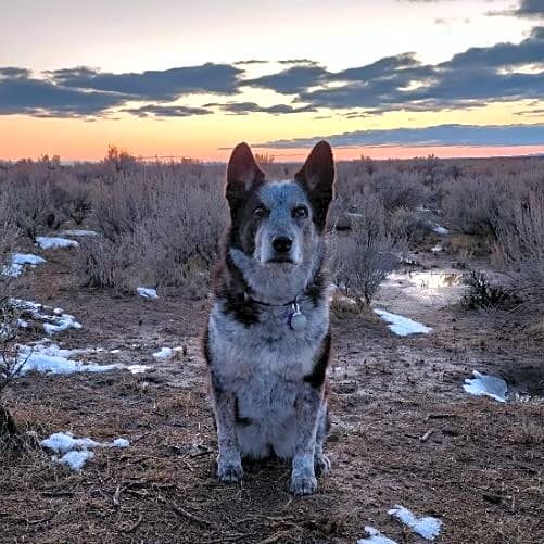 Photo of Molly Moo