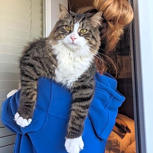 Photo of Cosmo