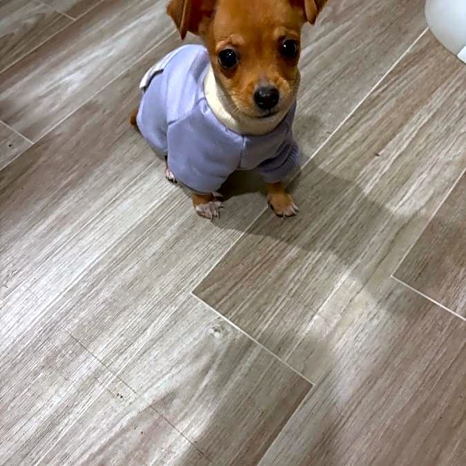 Photo of Tina