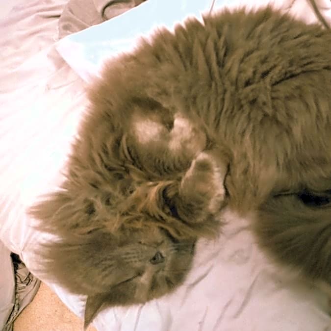 Photo of George