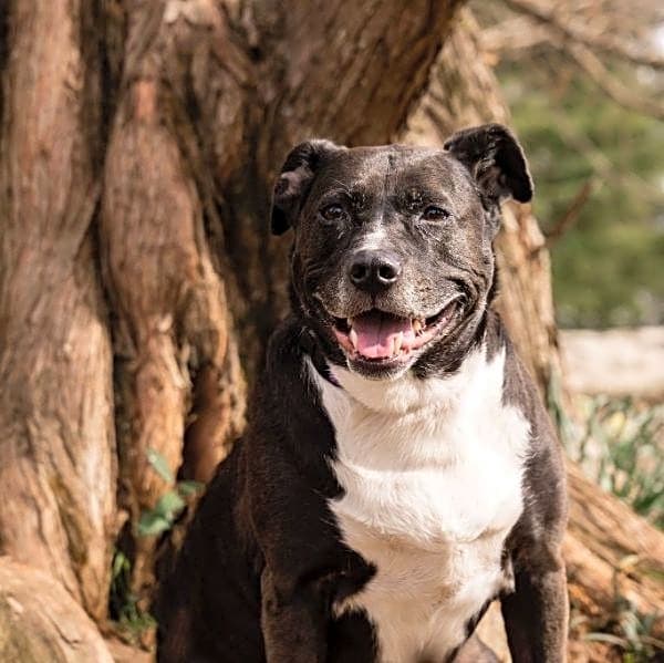 Photo of Ruby