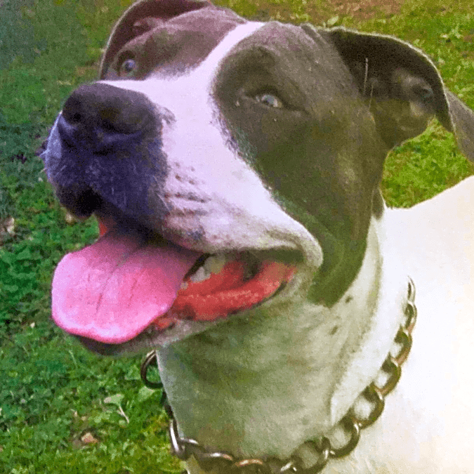 Photo of Athena