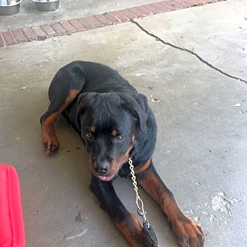Photo of Caine