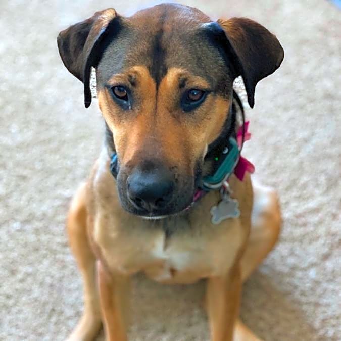 Photo of Kona