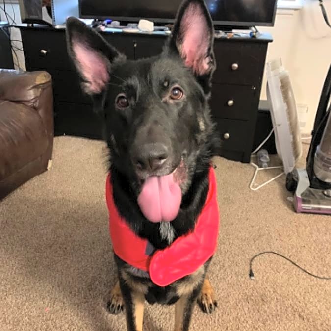 Photo of Sebastian