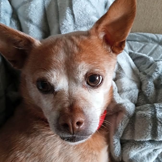Photo of Marty