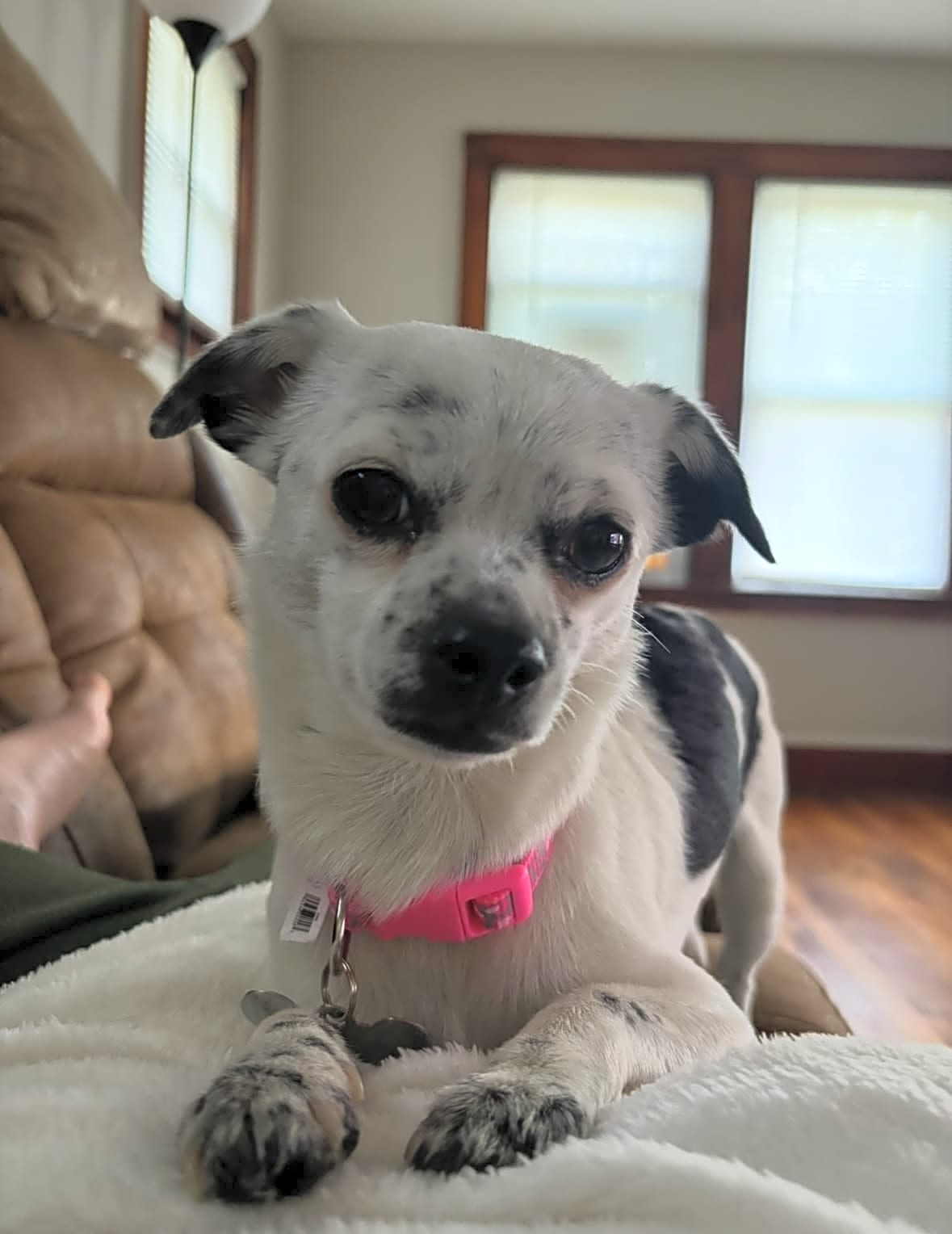 Photo of Stozie