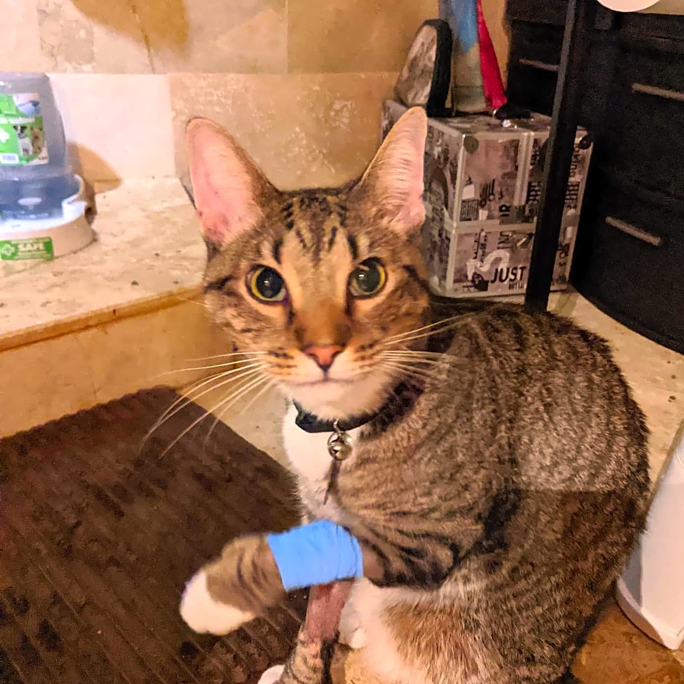 Photo of Oliver