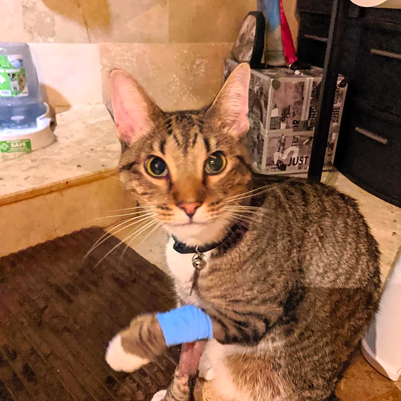 Photo of Oliver