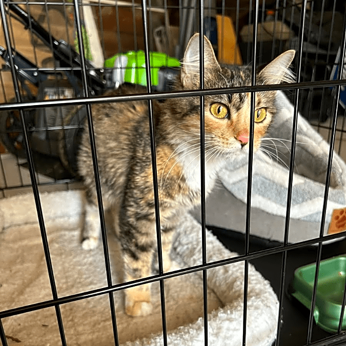 Photo of Alley